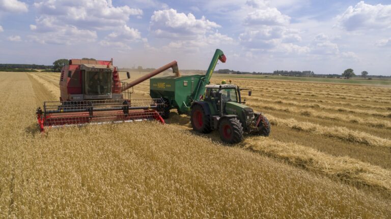 Landwirtschaft